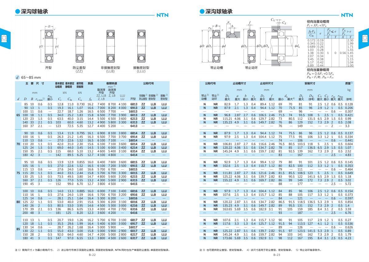 2203-2c 滾動(dòng)軸承綜合樣本_99.jpg